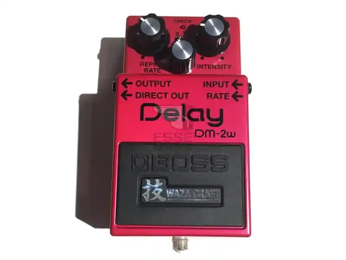 Artigianale Boss DM-2W Delay