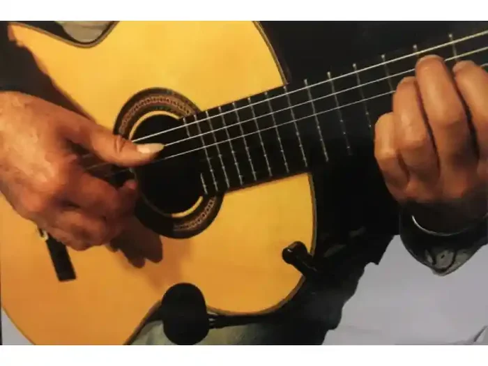 Audio Design Pro pa mag microfono per chit.acustica Direttamente Dal Produttore