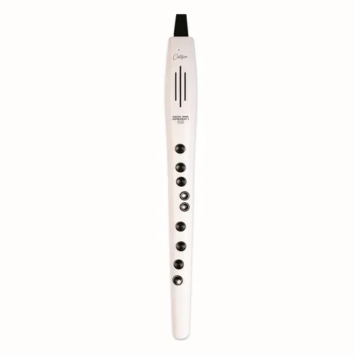 CARRY ON CO-DWI2PLUS-WT – DIGITAL WIND INSTRUMENT PLUS – BIANCO