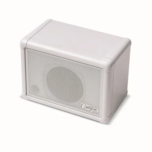 CARRY ON CO-SPEAKER-EXT – MINI EXTENSION SPEAKER