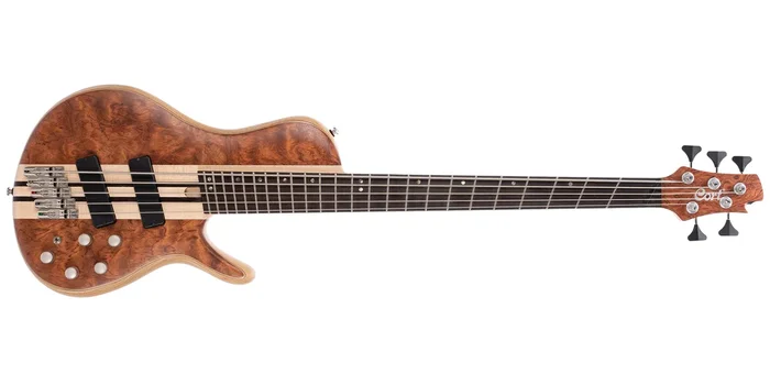 Cort Artisan A5 Beyond Opbn W/case – WN 8809625368487