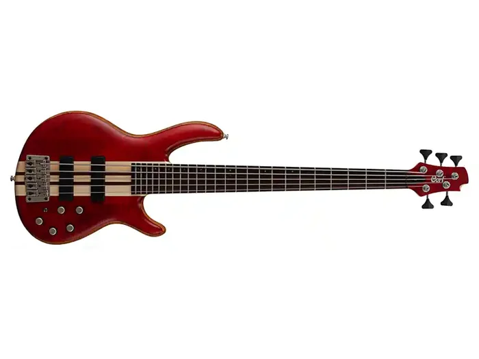 Direttamente Dal Produttore Cort Artisan A5 Plus FmmhOpen Pore Black Cherry