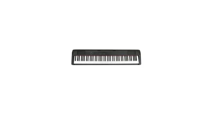 ECHORD DP1 Black
