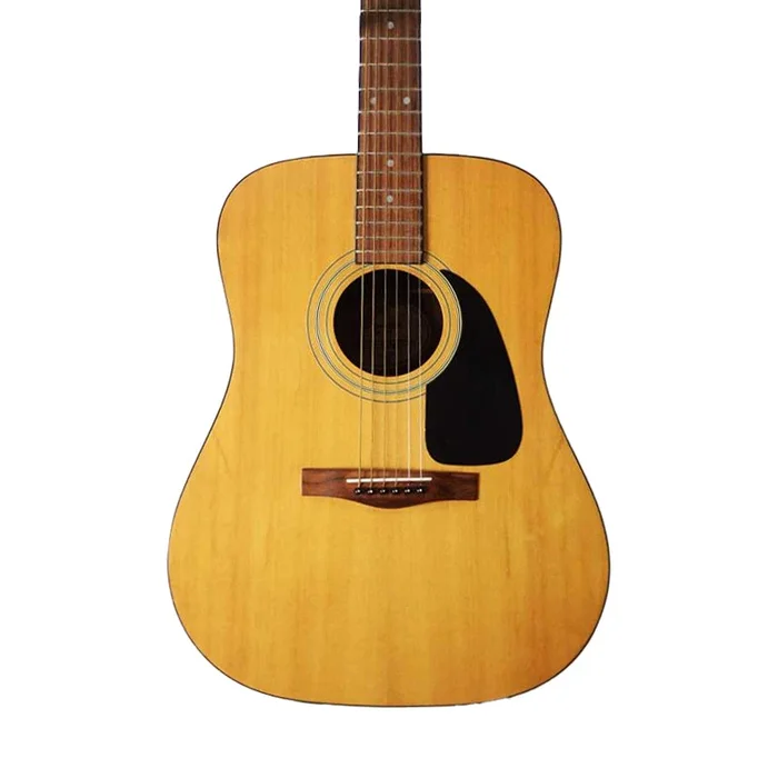FENDER DG-17M Chitarra Acustica Elettrificata con Fishman Pickup [Usato]