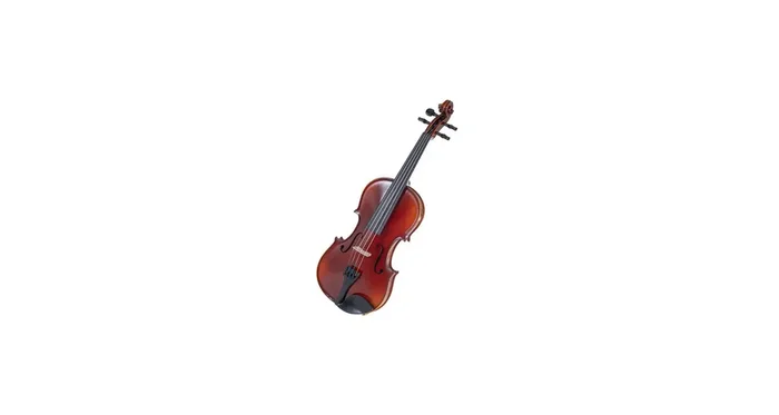 GEWA Violin Ideale VL2