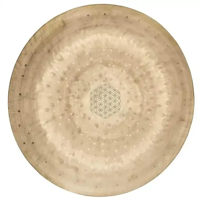 Meinl Sonic Energy WGFOL12