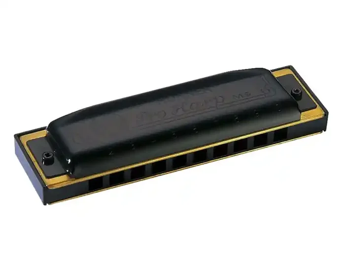 Occasione Imperdibile Hohner Pro harp E