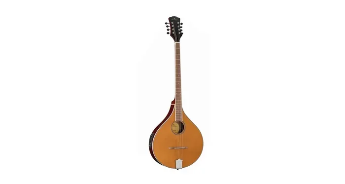 SOUNDSATION SBAU-20E