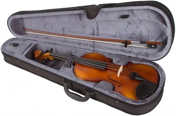 Stagg VN 3/4 Natural Violin